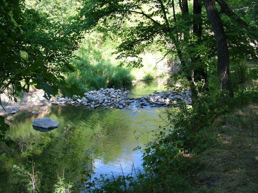 Turtle River State Park景点图片