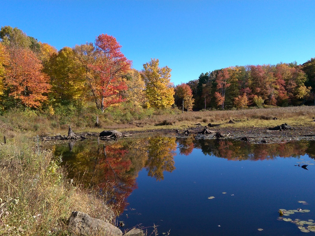 West Cornwall旅游攻略图片