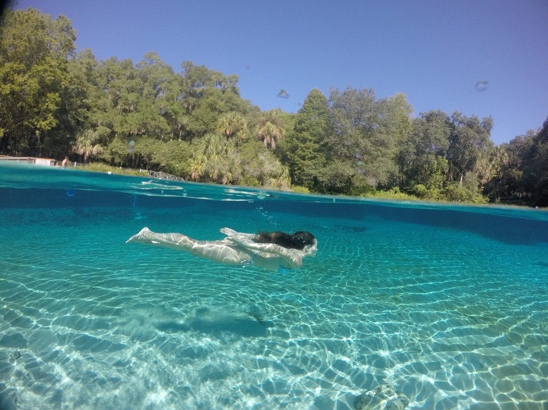 Dunnellon旅游攻略图片