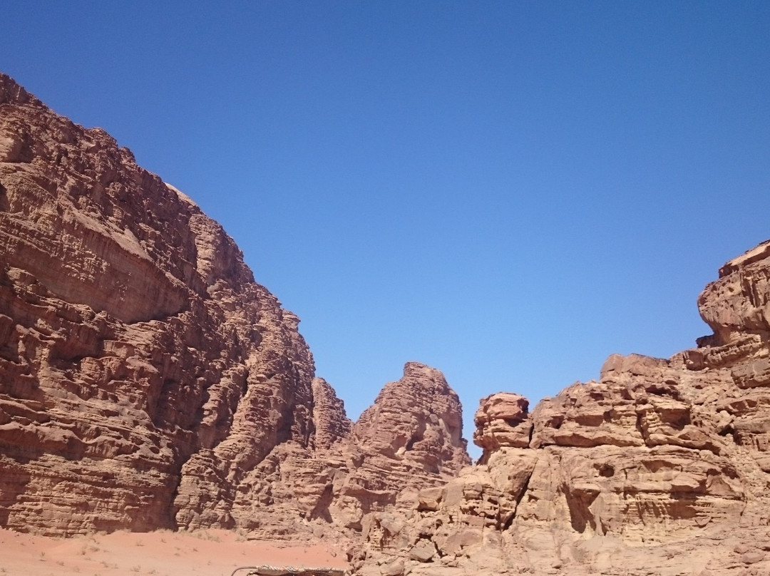 Wadi Rum Village旅游攻略图片