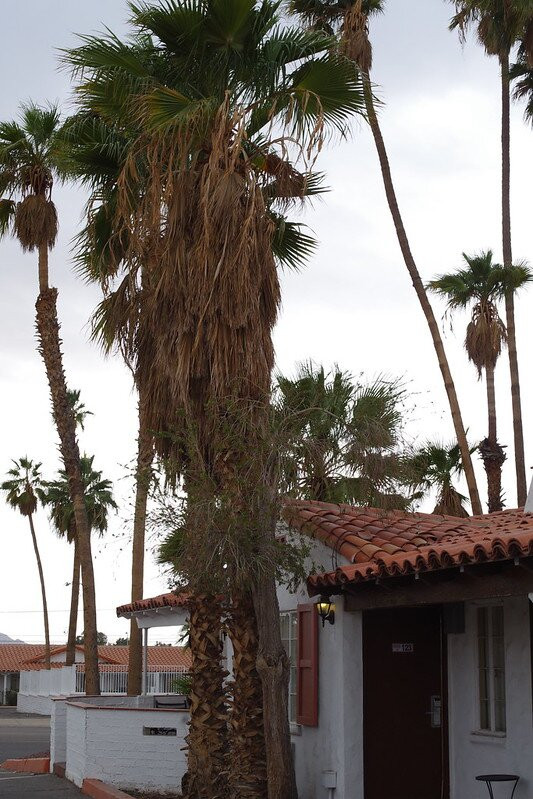 Historic Coronado Motor Hotel by OYO主图