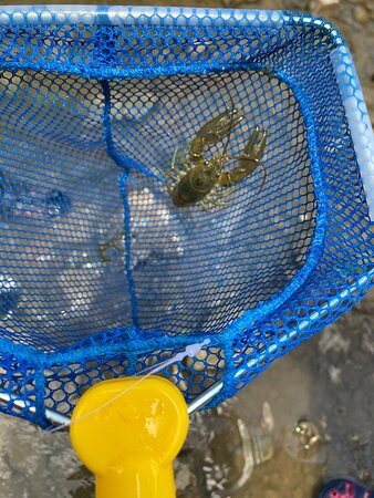 Englewood Metro Park-Vandalia必去景点