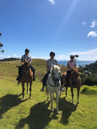 Sandy Bay Horses景点图片