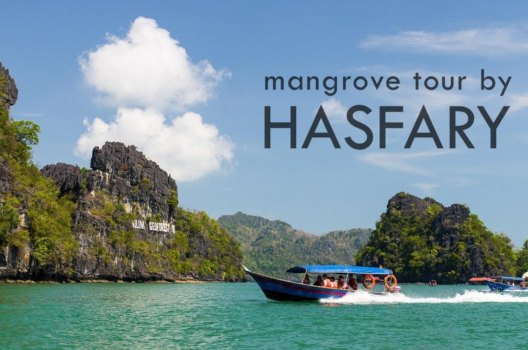 Langkawi Mangrove Tour by Hasfary Travel & Tours景点图片