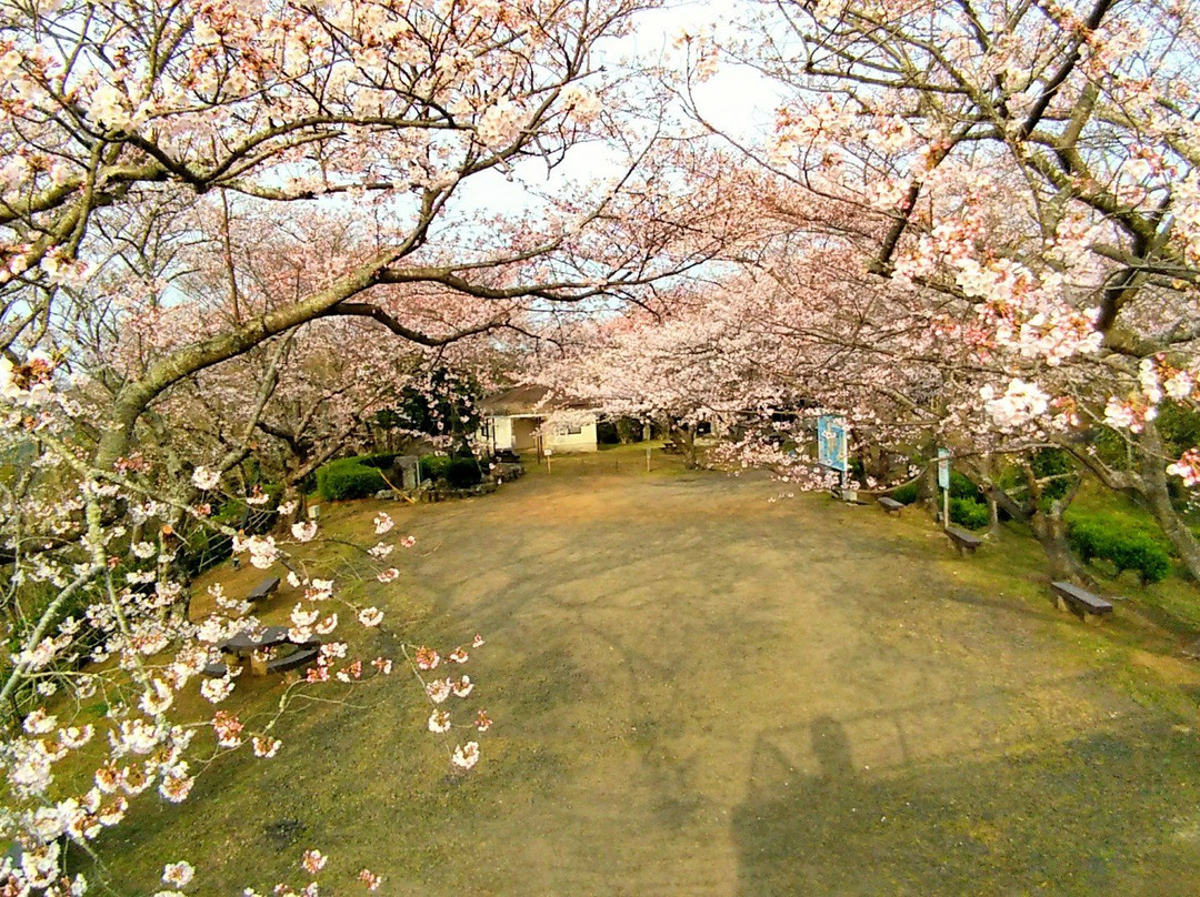 Oyama Park景点图片