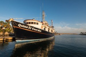 Quino el Guardian-圣何塞卡波必去景点