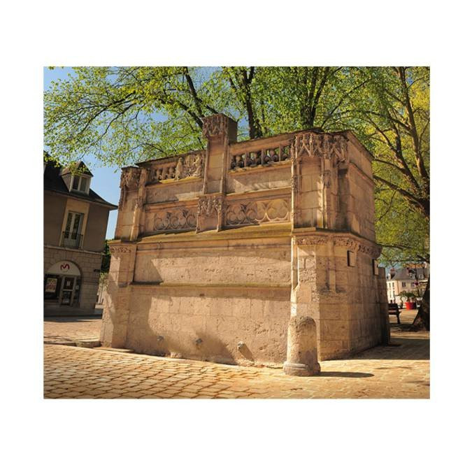 Fontaine Louis XII景点图片
