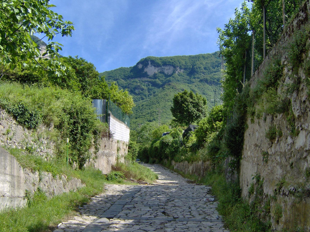 Sant'Egidio del Monte Albino旅游攻略图片