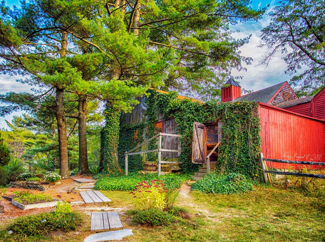 Mason旅游攻略图片