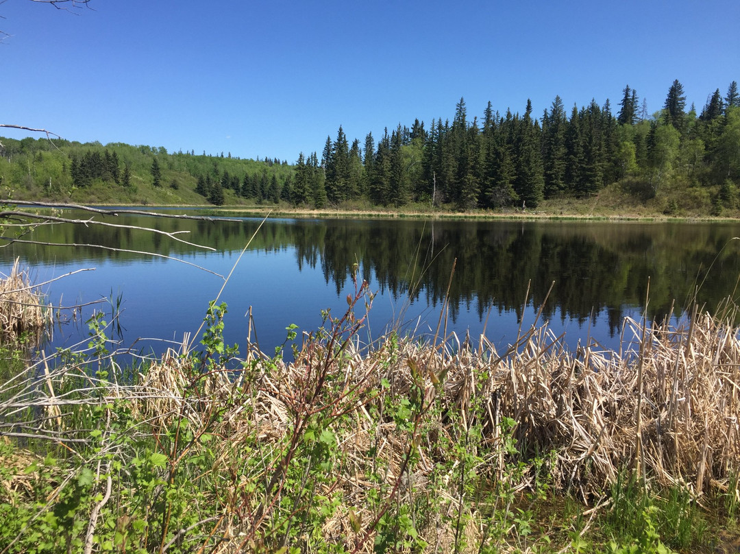 Cold Lake Provincial Park-冷湖必去景点
