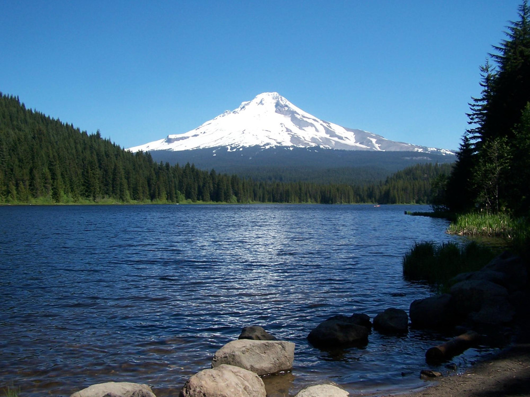 null-Timberline Lodge