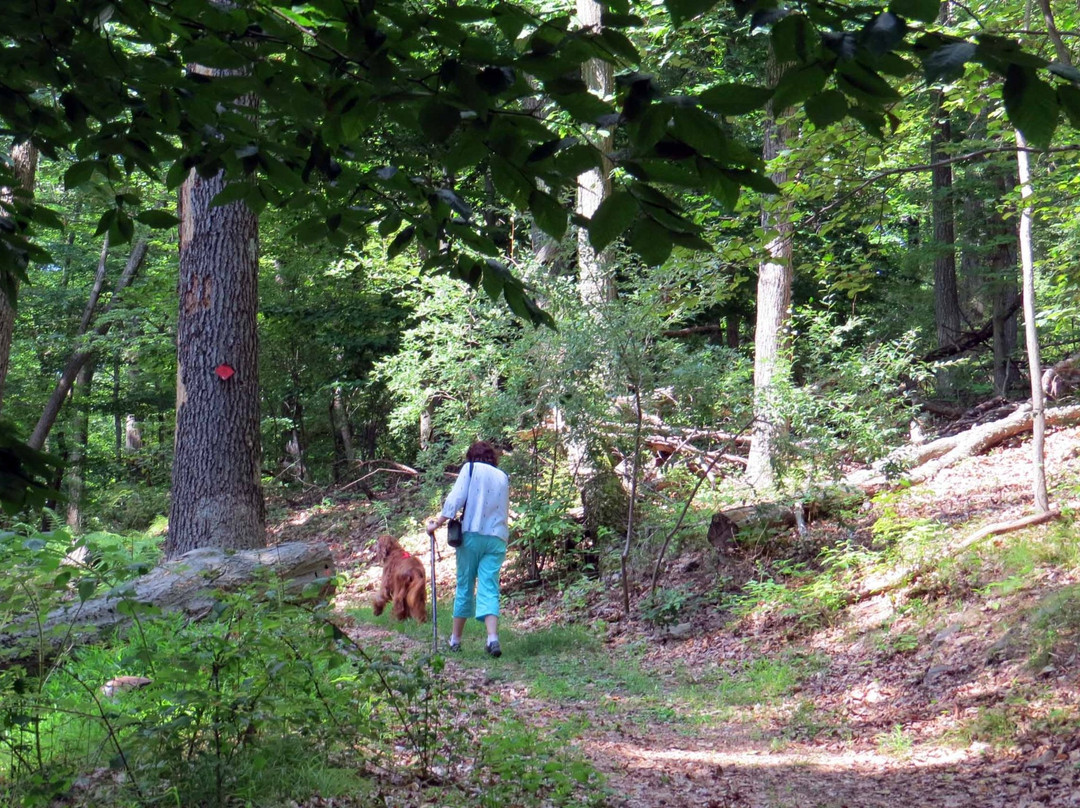 Schiff Nature Preserve-Mendham Township必去景点