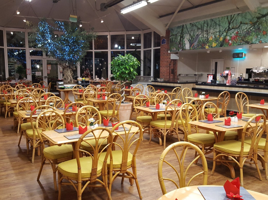Mere Park Garden Centre Restaurant