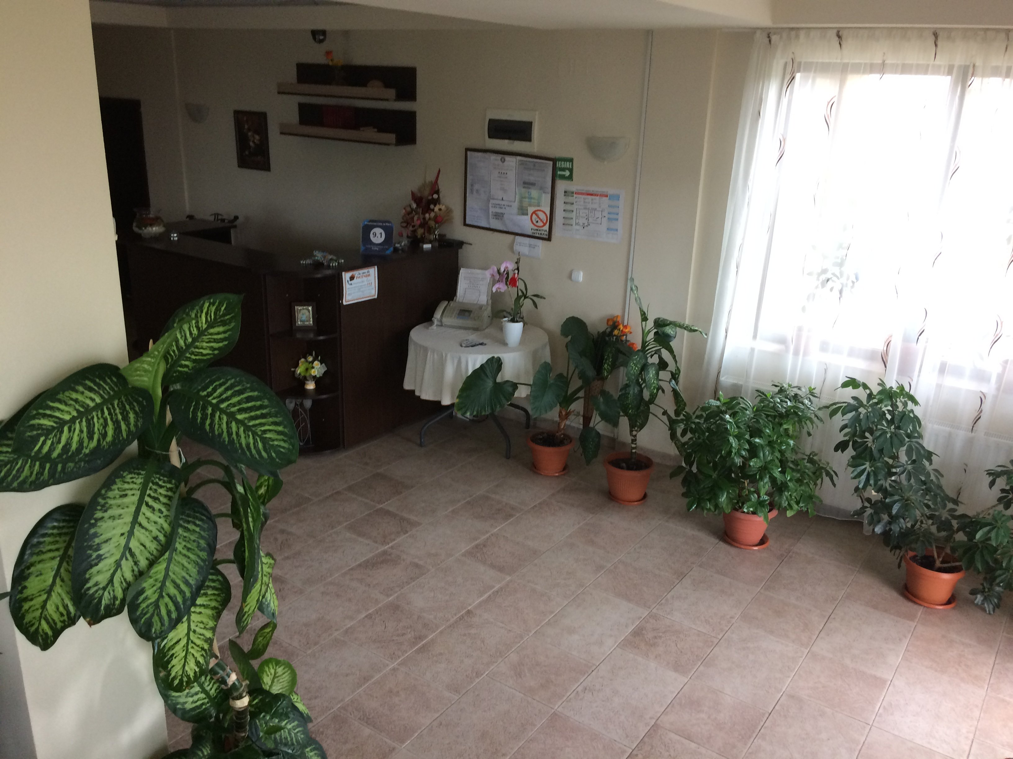 Pensiunea Casa cu Flori-浴室