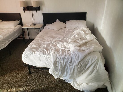 Lumber Jill Lodge主图