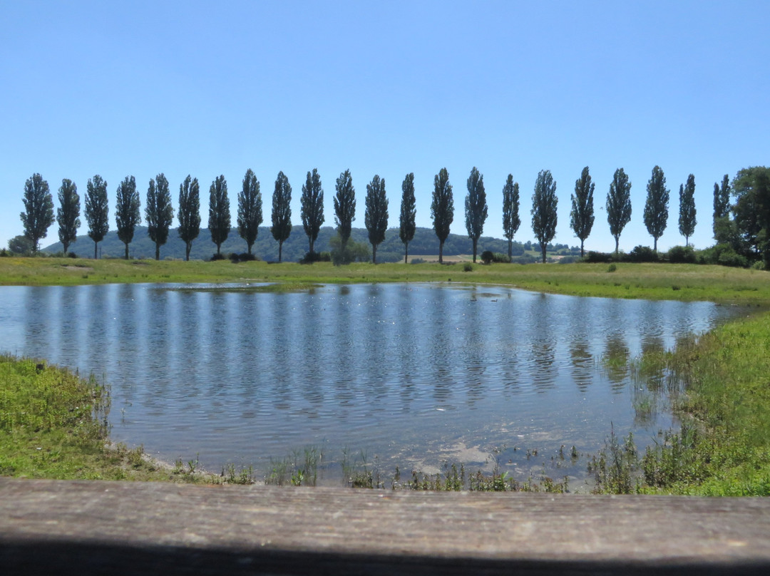 Cudrefin旅游攻略图片