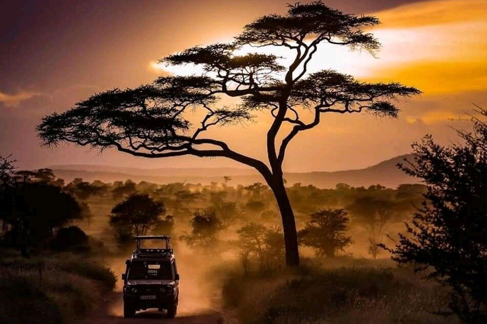 Apaloderma Safaris-Iringa必去景点