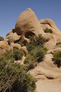 Skull Rock景点图片