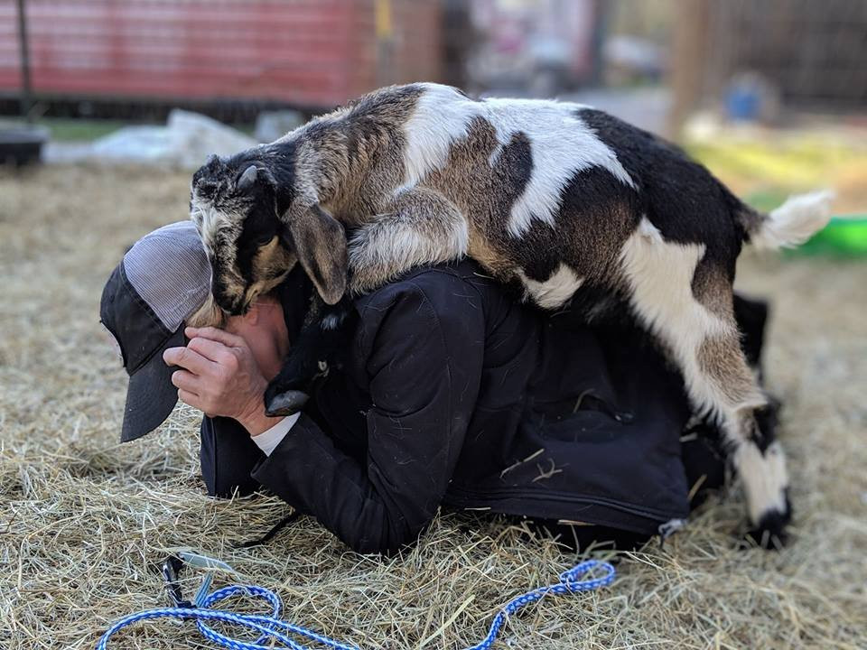 Alaqua Animal Refuge景点图片