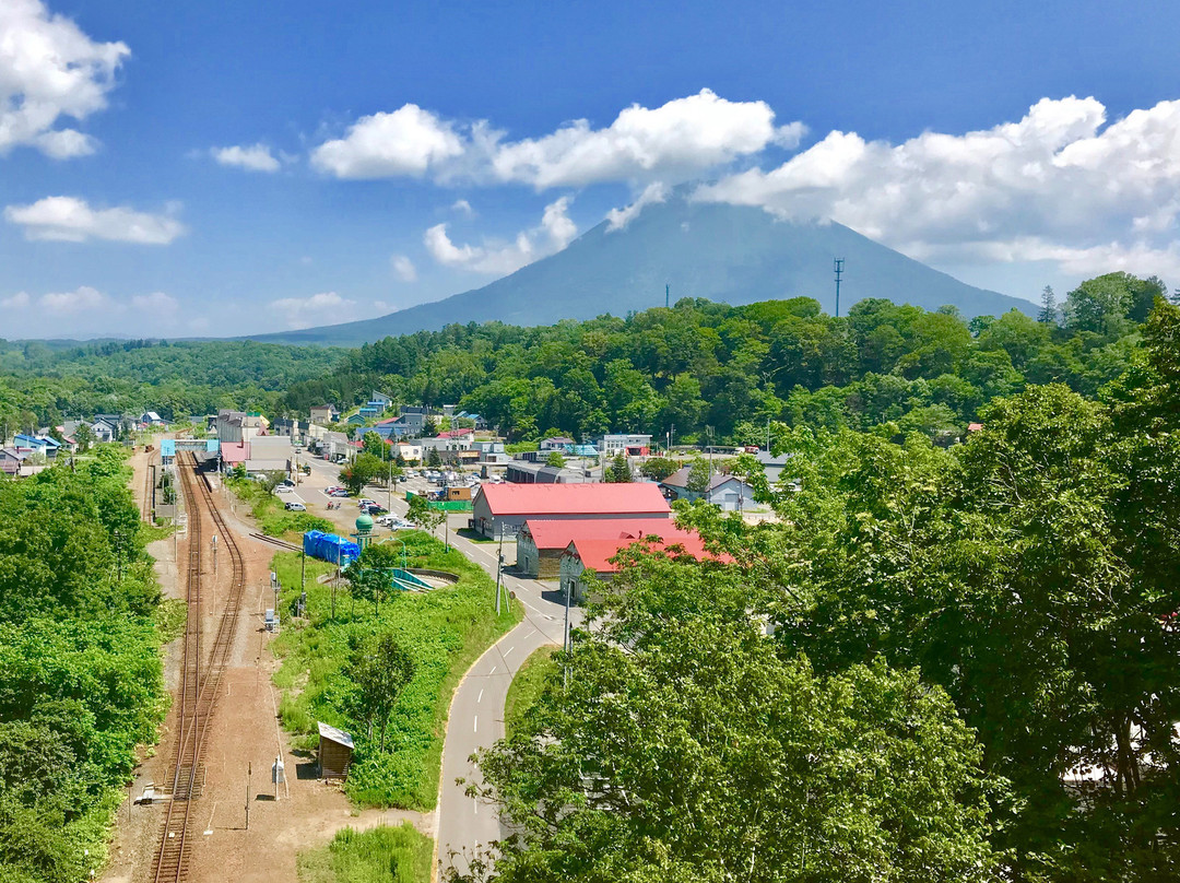 Niseko Ohashi Bridge景点图片