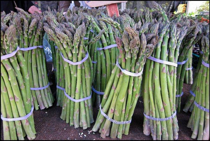 Marin County Farmers' Market--San Rafael景点图片