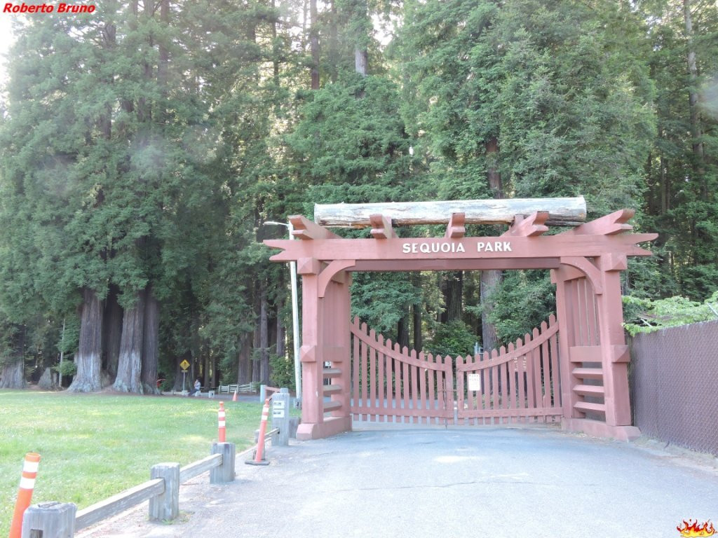 Sequoia Park景点图片