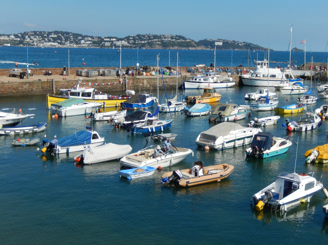 Paignton Harbour景点图片