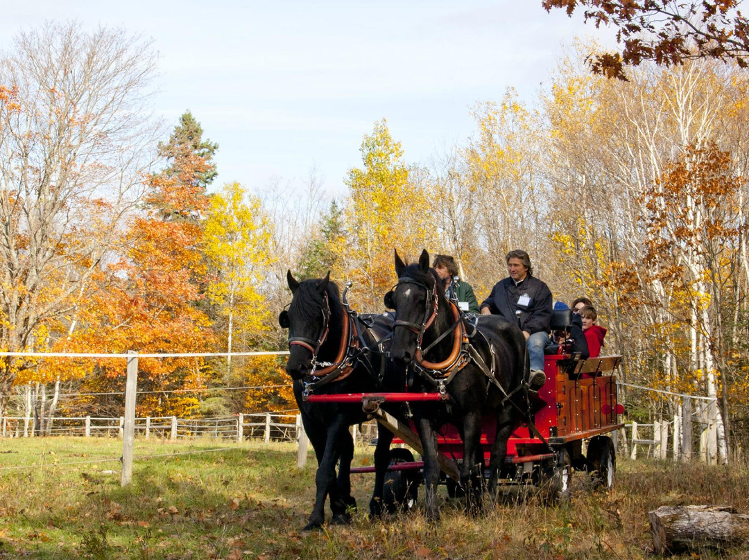 Back of Beyond Equine Centre-亨茨维尔必去景点