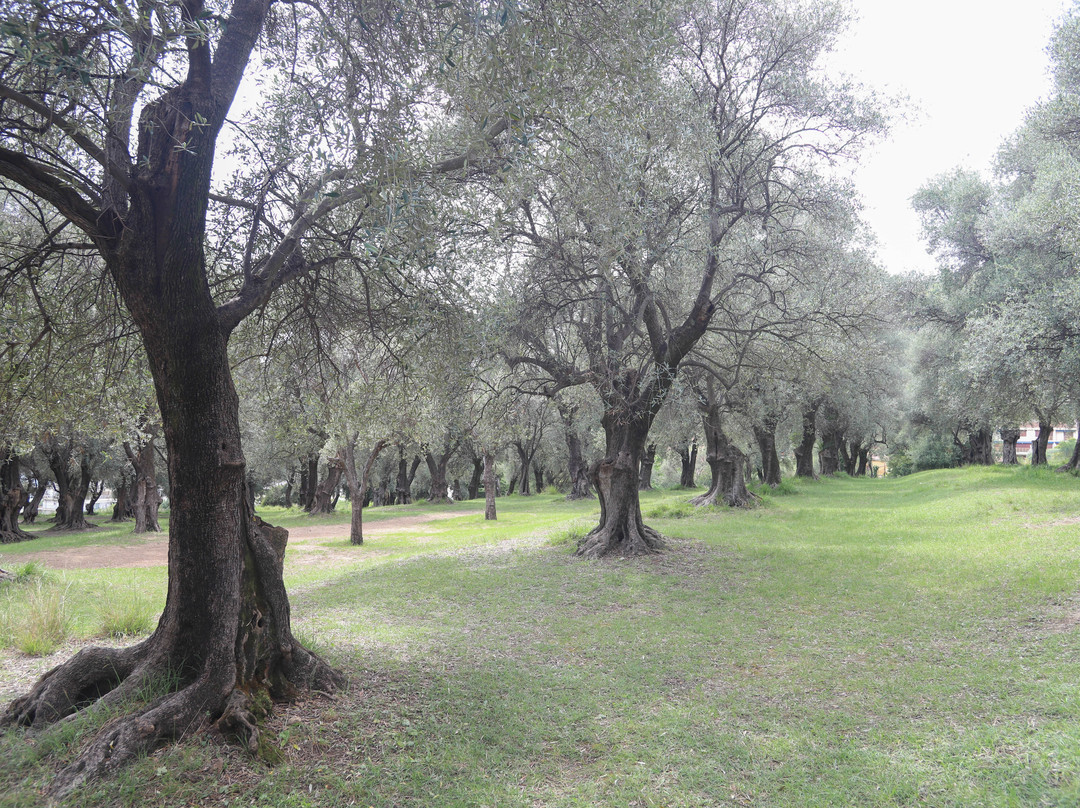 Le Parc Du Pian景点图片