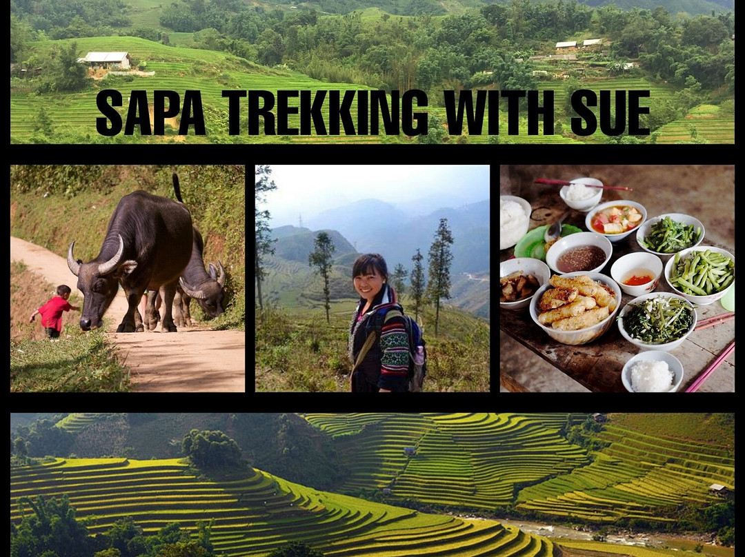 SaPa Trekking With Sue景点图片