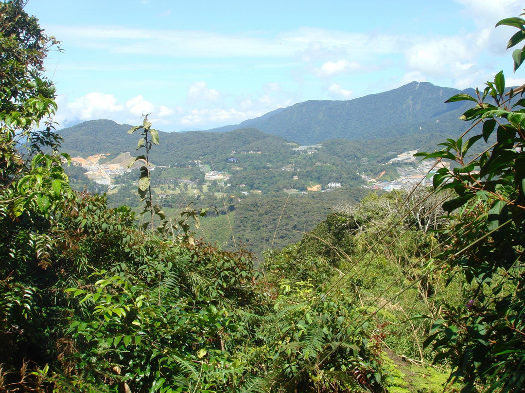 Cameron Highlands Trail No. 5 and 7景点图片