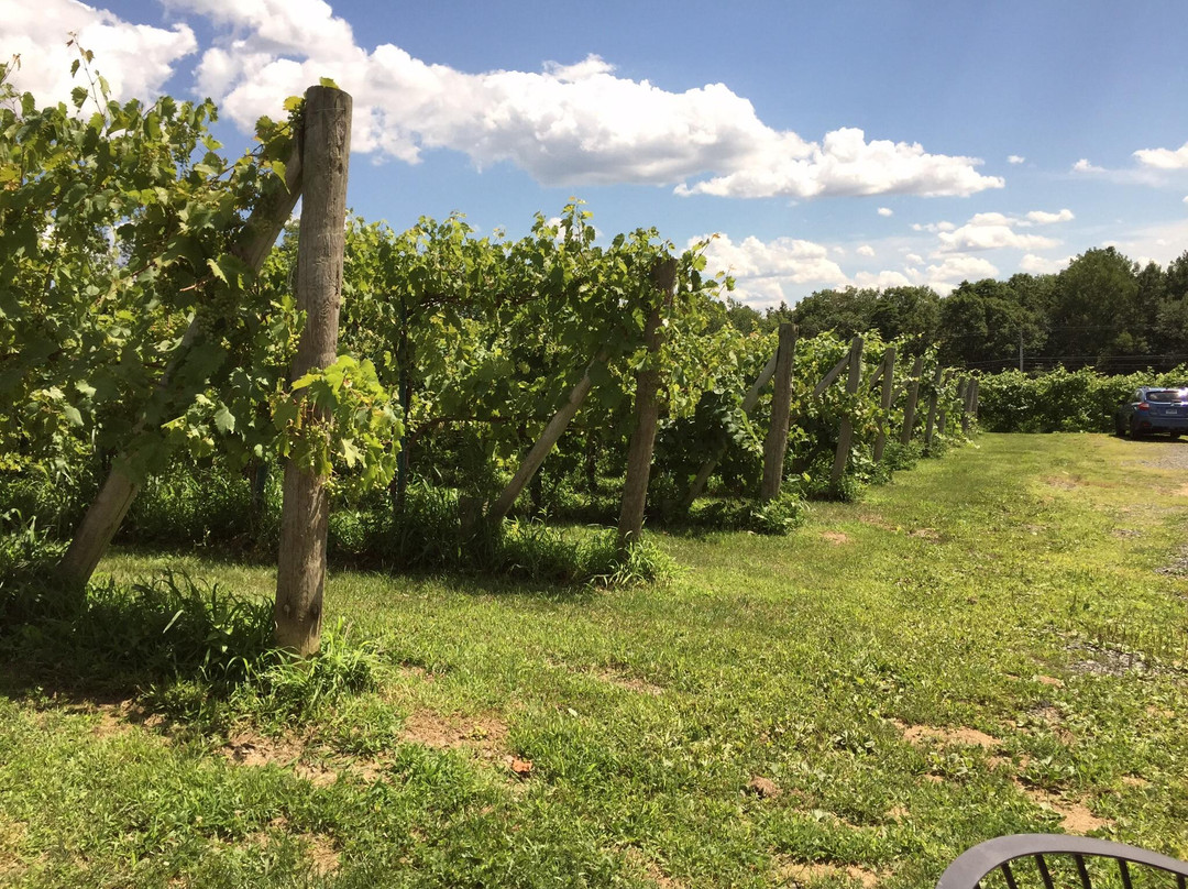 Connecticut Valley Winery景点图片