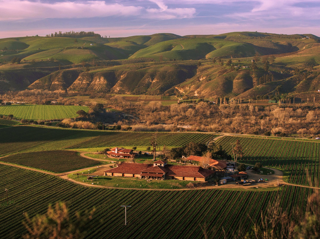 Sanford Winery & Vineyards景点图片