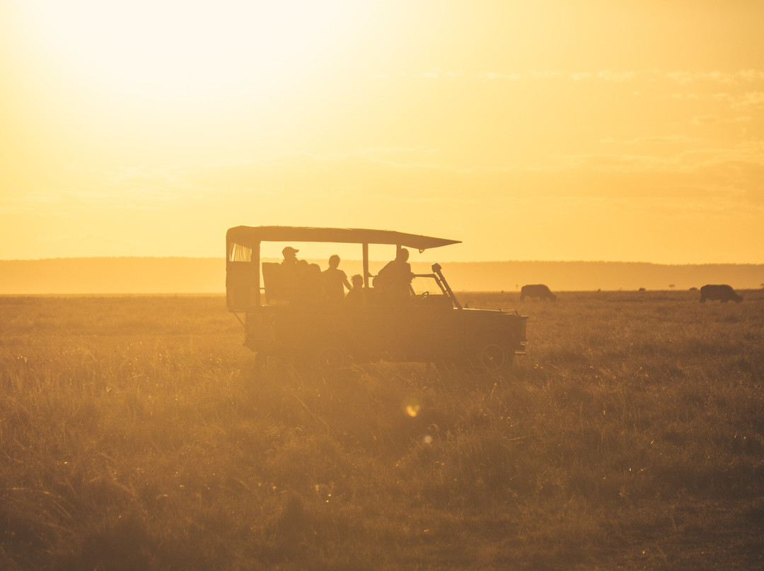 Rhythms of Nature-内罗毕必去景点