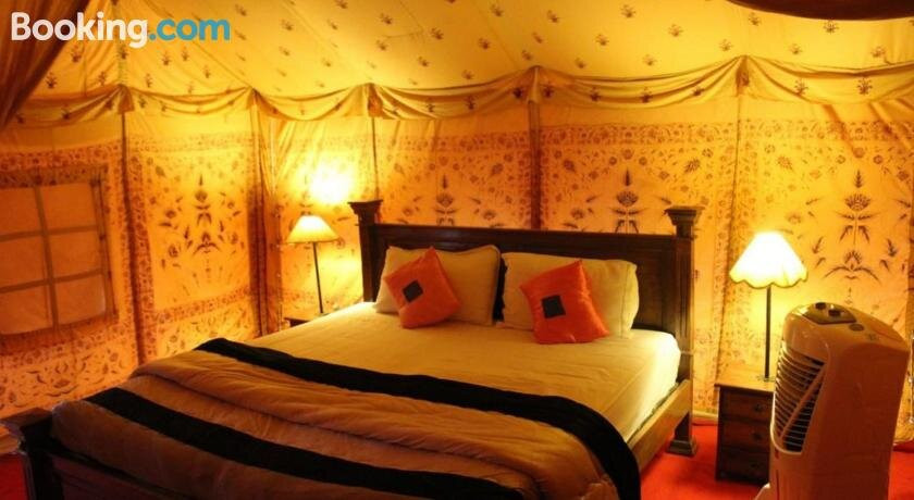 Golden Marigold Desert Camp