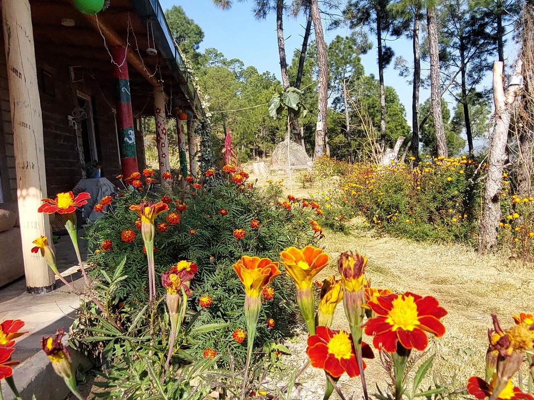 Zenoaks Homestay