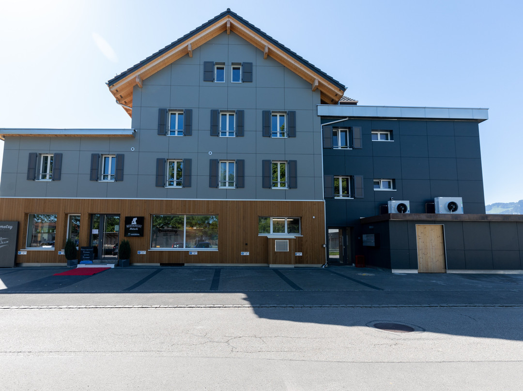 Guesthouse Meitschi Thun - contactless self check-in主图