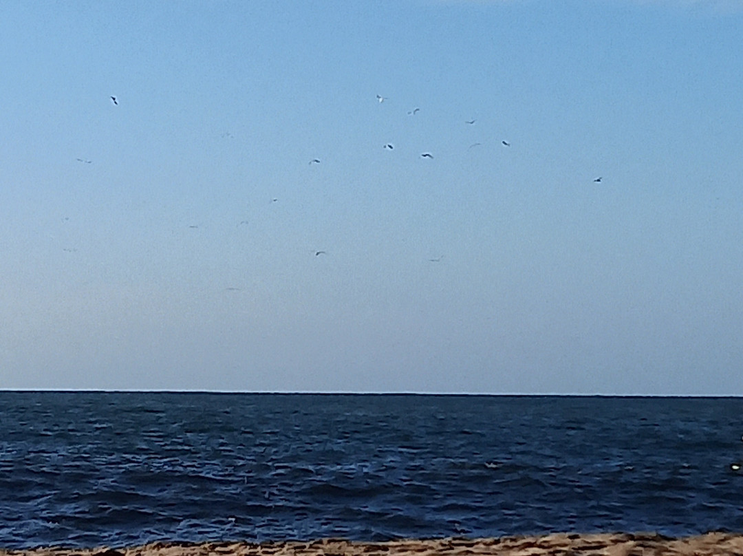 Yelapa Adventures-Yelapa必去景点