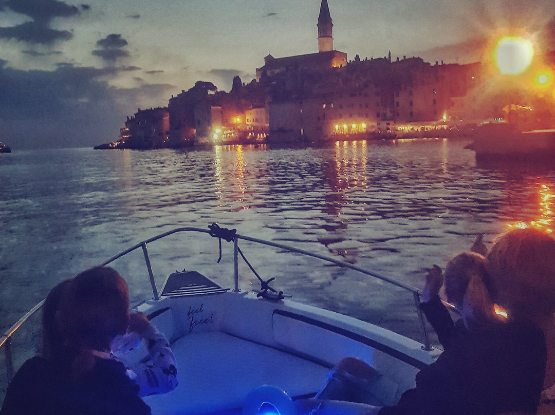 Dolphin Tours Istria-冯塔纳必去景点