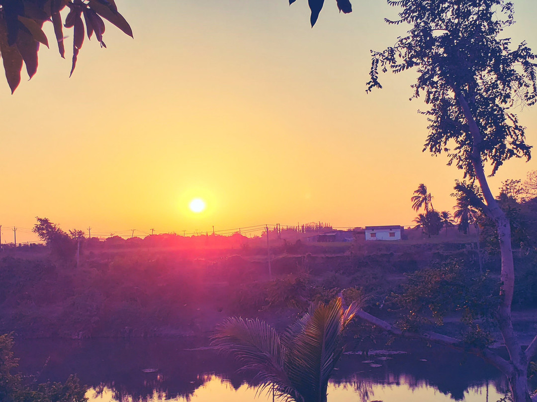 Kavish Gir Lion Resort主图