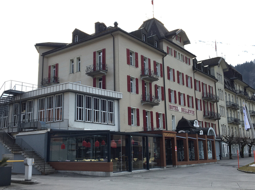 Hotel Bellevue-terminus主图