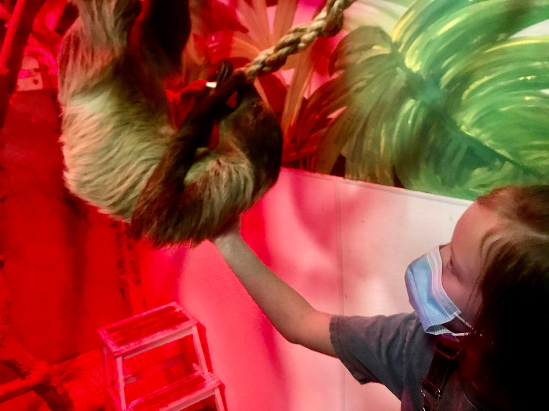 Layton Aquarium & Wildlife Encounters景点图片