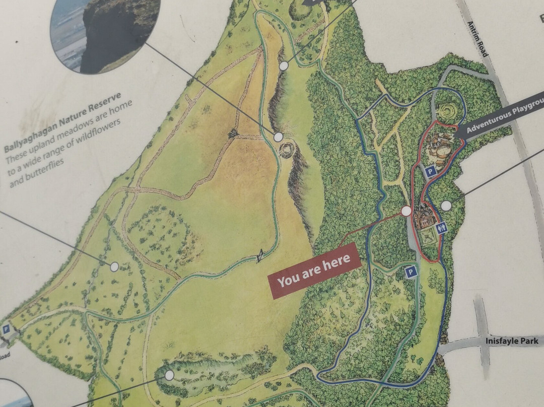 Cave Hill Country Park-贝尔法斯特必去景点