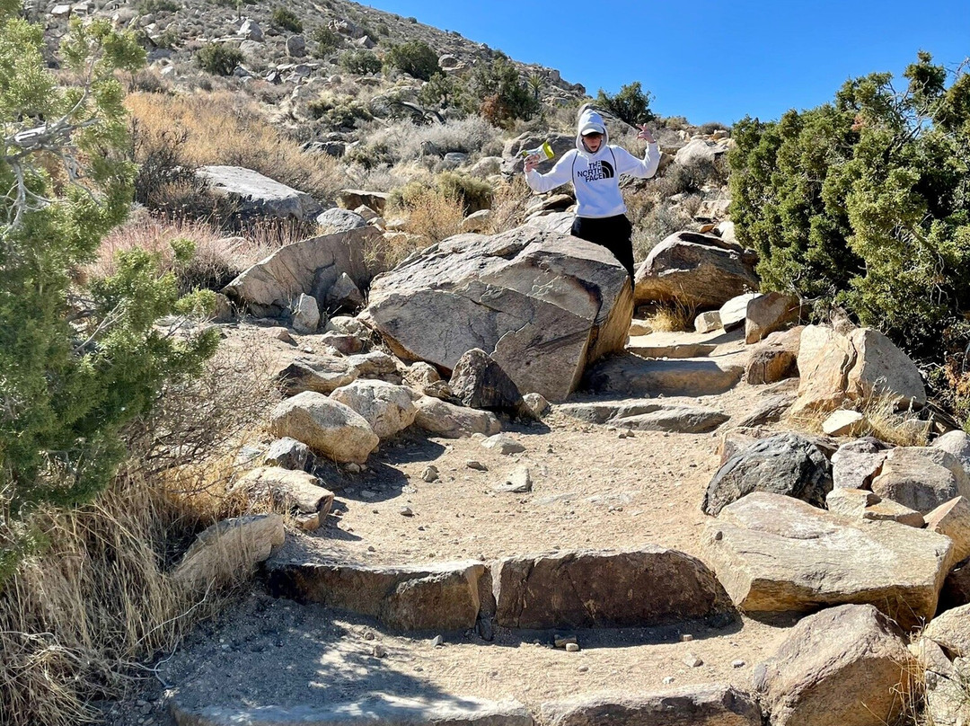 Ryan Mountain-约书亚树国家公园必去景点