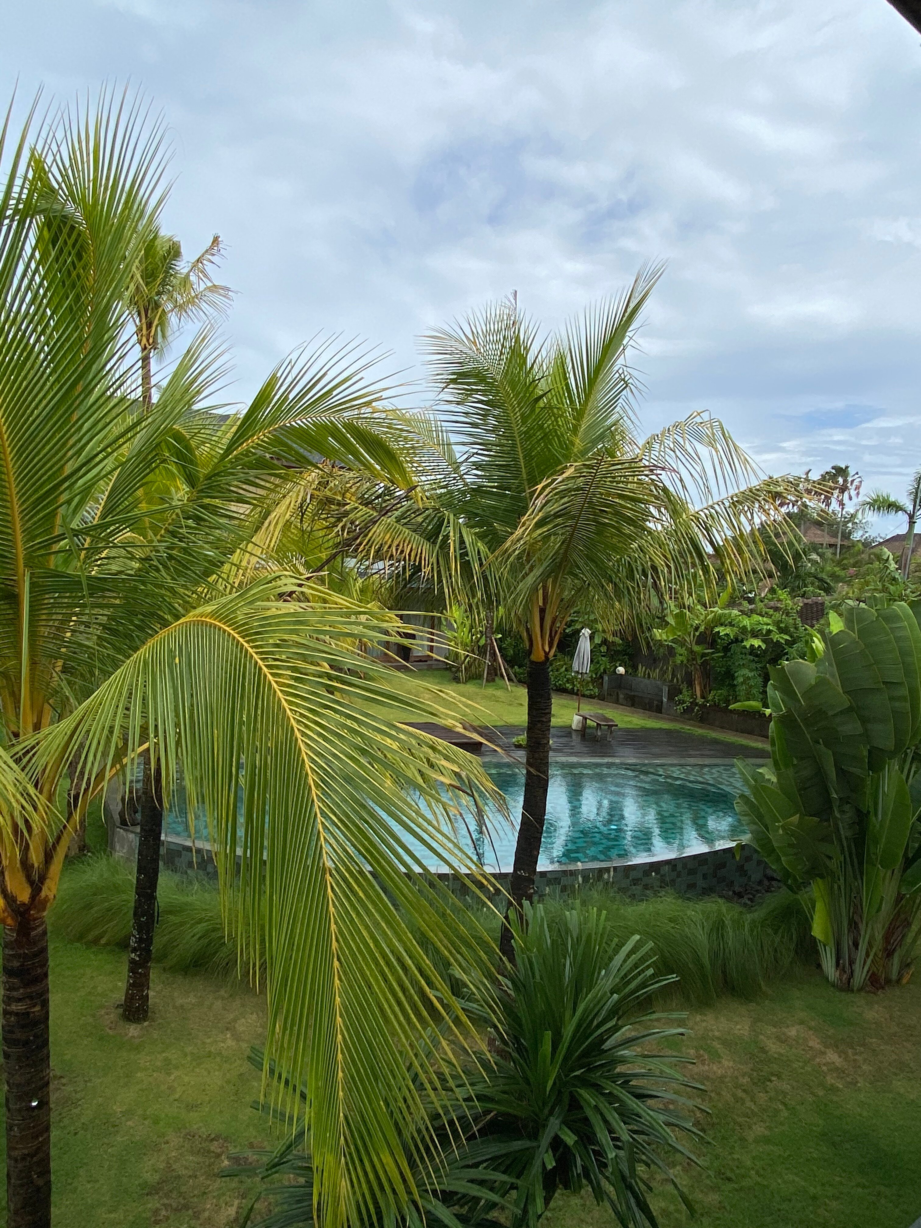 Masmara Resort-酒店景观