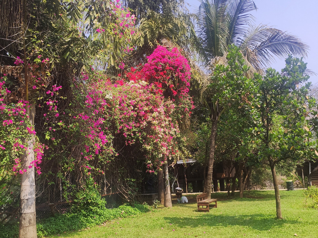 Jalsrushti Island Resort主图