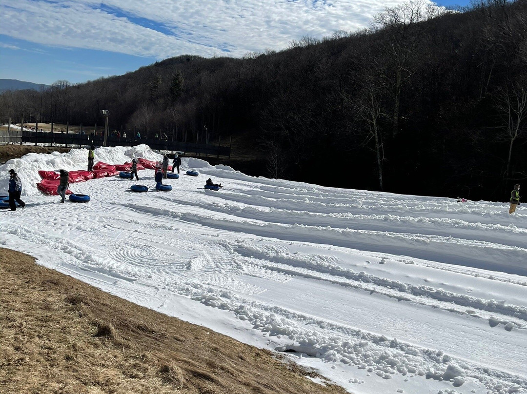 Hawksnest Snow Tubing and Zipline景点图片