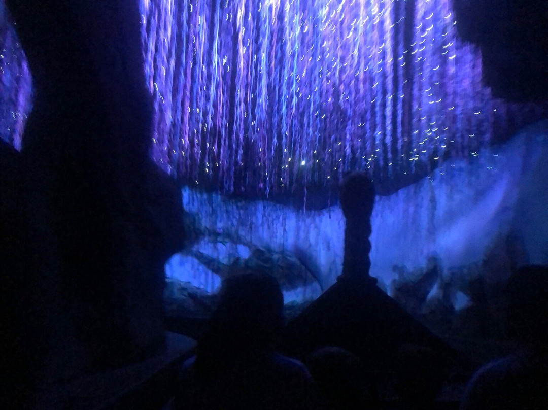 Frozen Ever After-奥兰多必去景点