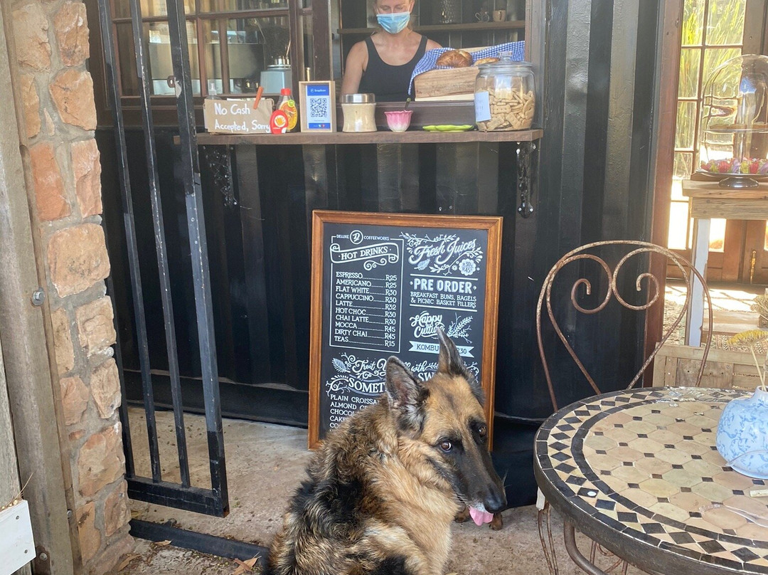 Tokai Forest-Tokai必去景点