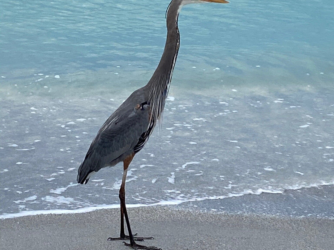 Sun Life Beach Hotel主图